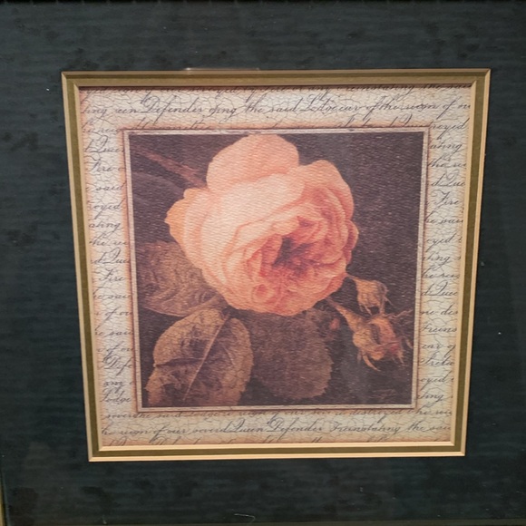 2 prints - Cheetah 🐆 print framed and double matted, old rose, Dbl matted - Picture 7 of 10